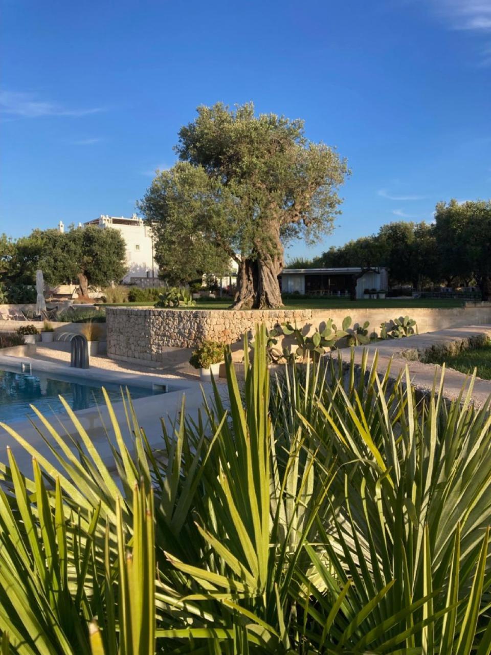 Boutique Hotel Masseria Sottomasi Savelletri Exterior photo