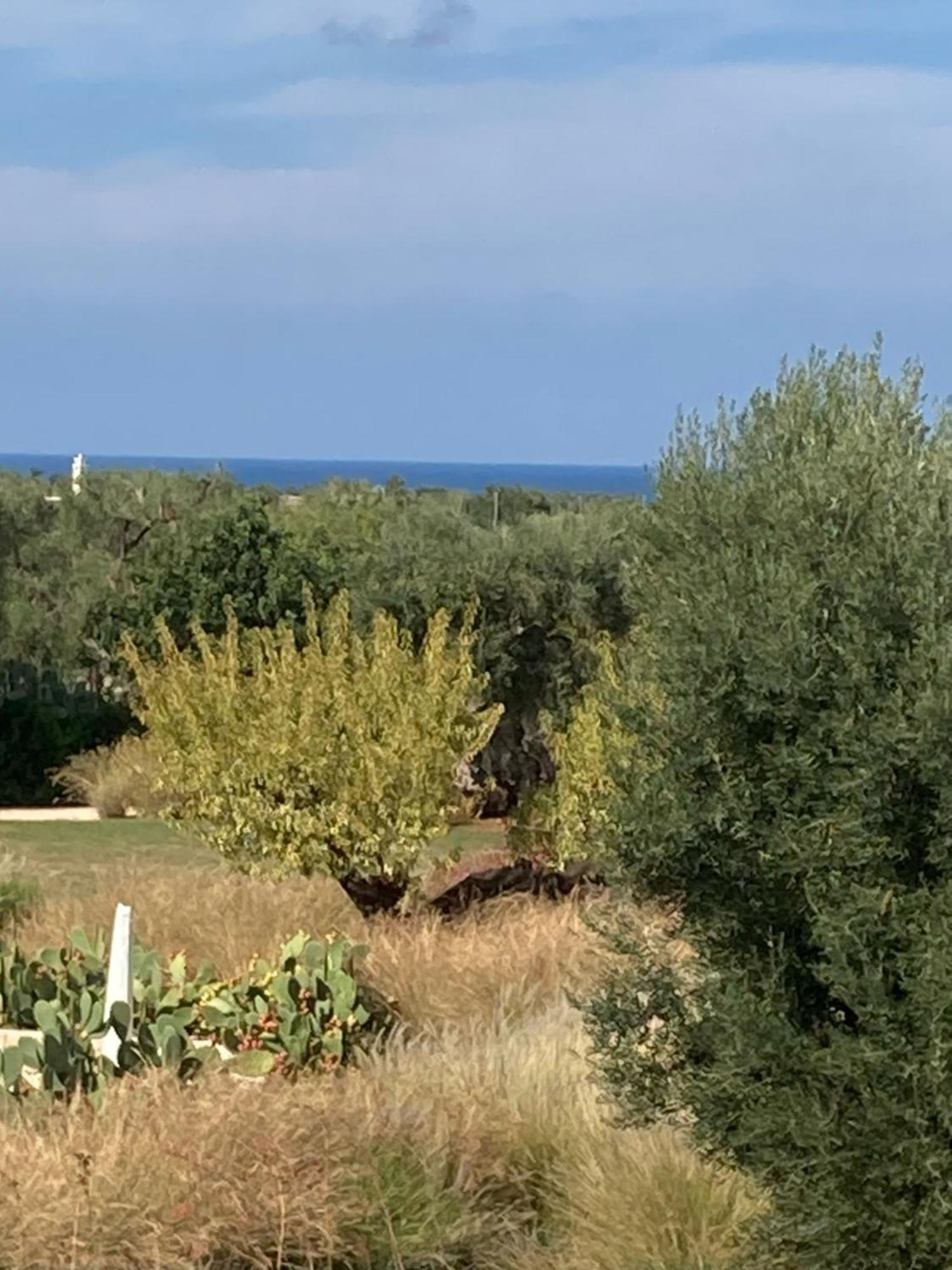 Boutique Hotel Masseria Sottomasi Savelletri Exterior photo